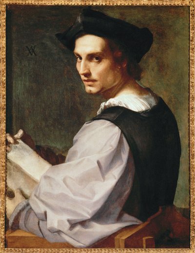 Ritratto di un giovane uomo da Andrea del Sarto