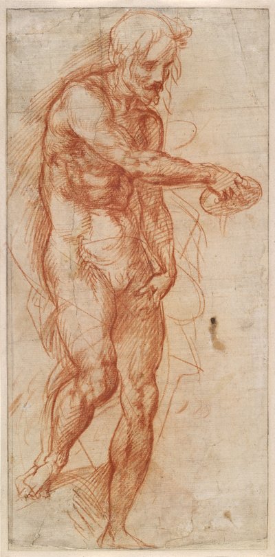 Studio di San Giovanni Battista da Andrea del Sarto