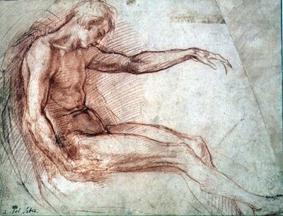 Nudo Maschile Seduto da Andrea del Sarto