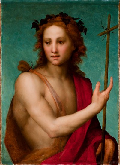 San Giovanni Battista, c.1517 da Andrea del Sarto