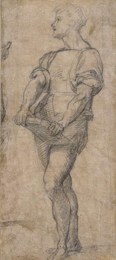 Giovane in piedi con un libro, ca 1515 da Andrea del Sarto