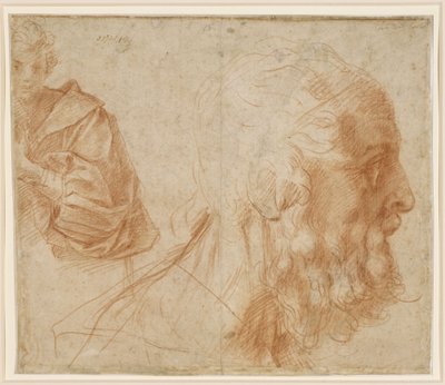  da Andrea del Sarto