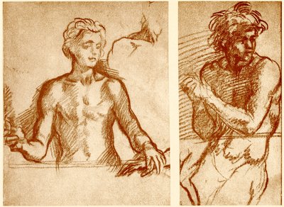 Studi sulla figura di Cristo da Andrea del Sarto