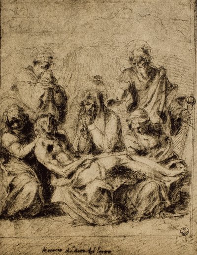 Studio per la Deposizione, disegno di Andrea del Sarto. Gabinetto dei Disegni e delle Stampe, Galleria degli Uffizi, Firenze da Andrea del Sarto