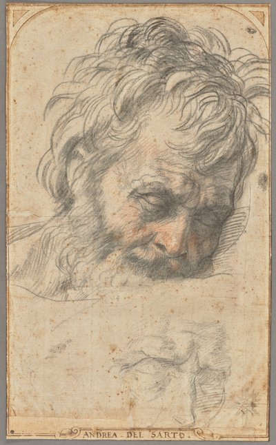 Studio per la testa di San Giuseppe (recto); due studi di gambe (verso) da Andrea del Sarto