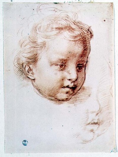 Studio della Testa di un Bambino da Andrea del Sarto