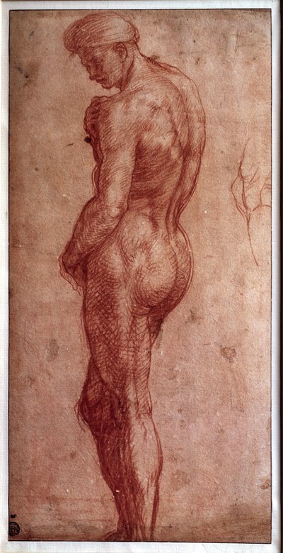 Studio di nudo maschile Disegno a sanguigna di Andrea d