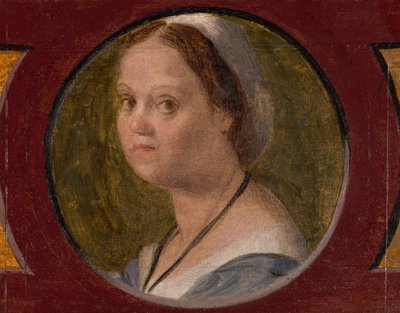 La moglie di Domenico da Gambassi da Andrea del Sarto