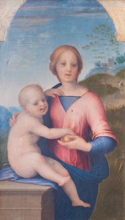 Vergine e Bambino da Andrea del Sarto