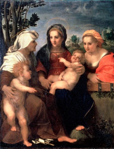 Vergine e Bambino con i santi Caterina, Elisabetta e Giovanni Battista, 1510s da Andrea del Sarto