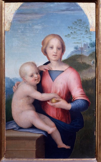 Vergine con bambino da Andrea del Sarto