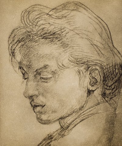 Testa virile di profilo da Andrea del Sarto
