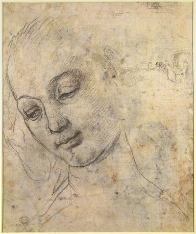 Ritratto di una testa femminile da Andrea del Verrocchio