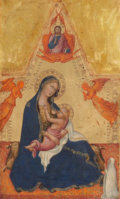 Madonna dell