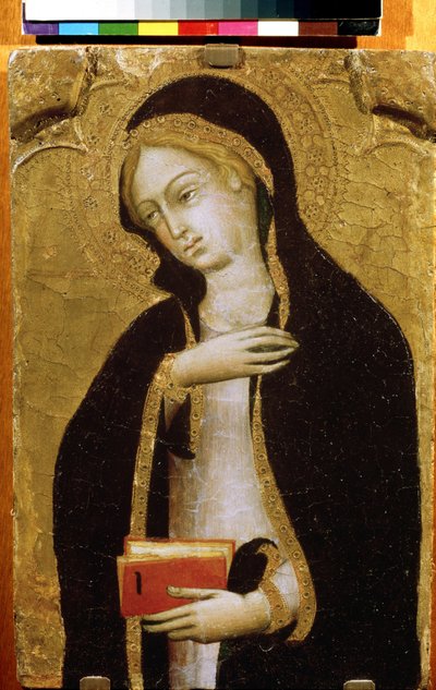 Vergine dell