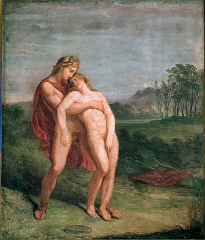Apollo e Giacinto affresco di Andrea Appiani (Dim. 116x100 cm) Milano, Pinacoteca di Brera da Andrea the Elder Appiani
