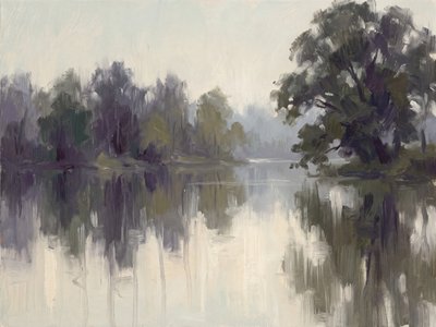 Riflessi fluviali nebbiosi da Andreas Magnusson