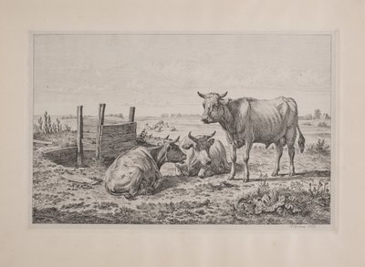 Danese: Un toro e due mucche da Andreas Peter Madsen