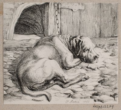 Un cane incatenato che dorme da Andreas Peter Madsen