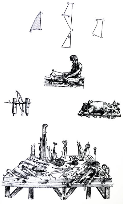 Le tavole dal secondo libro del De Humani Corporis Fabrica da Andreas Vesalius