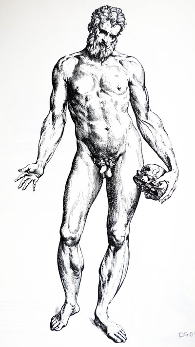 Le tavole dal settimo libro del De Humani Corporis Fabrica da Andreas Vesalius