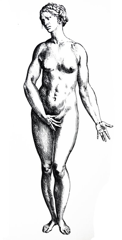 Le Tavole dal Settimo Libro del De Humani Corporis Fabrica da Andreas Vesalius