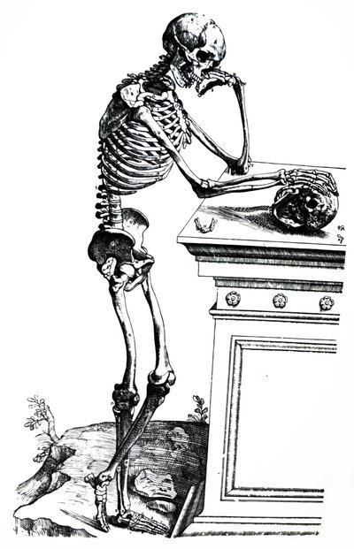 Le tavole dal settimo libro del De Humani Corporis Fabrica da Andreas Vesalius