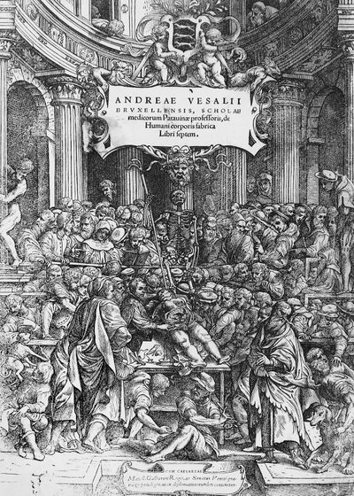 Pagina del titolo di De humani corporis fabrica, dove Andreas Vesalius è raffigurato mentre disseziona un cadavere da Andreas Vesalius