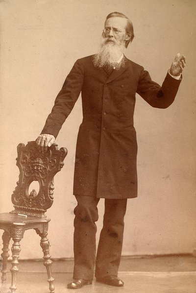 Apollon Maykow, poeta russo da Andrei Deniere