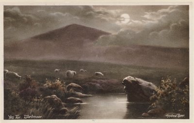 Yes Tor, Dartmoor (foto a colori) da Andrew Beer