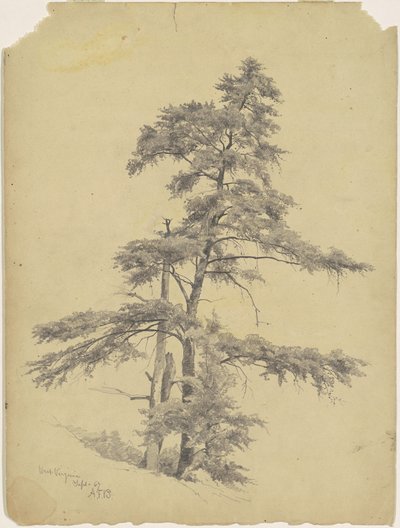 Alberi, West Virginia da Andrew Fisher Bunner
