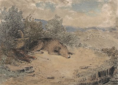 Cane da Pastore Addormentato in un Paesaggio da Andrew Geddes