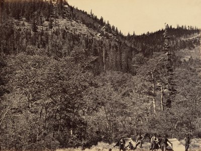 Piastra 19. Tra i legni alla testa del fiume Little Laramie, 1869 (foto) da Andrew Joseph Russell