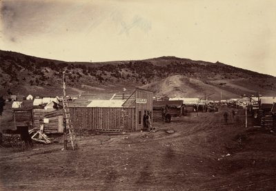 Piastra 29. Città di Bear River, vicino ai campi di carbone, 1869 (foto) da Andrew Joseph Russell