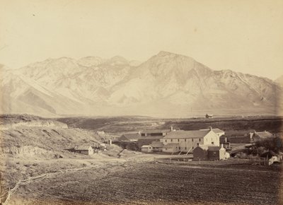 Piastra 49. Fabbriche di cotone e lana di Brigham Young, 1869 (foto) da Andrew Joseph Russell