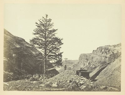 Albero delle mille miglia, Passo di Guglielmina da Andrew Joseph Russell