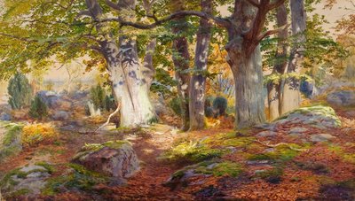 Luce autunnale dopo la pioggia, Fontainebleau da Andrew MacCallum