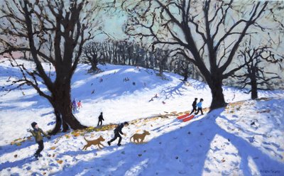 Giorno di Natale, Calke Abbey, Derby, 2017 da Andrew Macara
