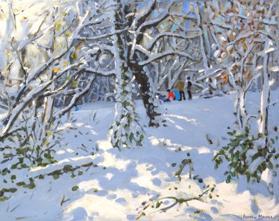 Slittino di Natale nei boschi di Allestree, 2013 da Andrew Macara