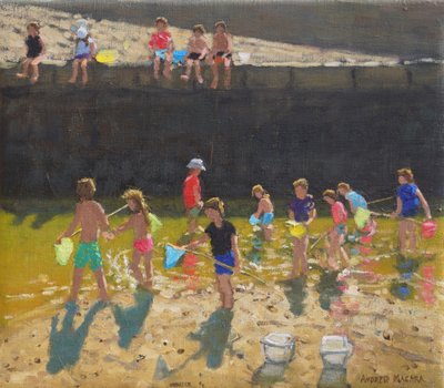 Pesca di granchi nel porto, Bude, Cornovaglia da Andrew Macara