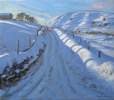 Testa di colomba da Andrew Macara