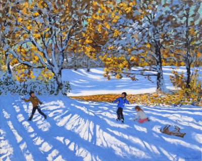 Neve precoce, Allestree Park, 2017 da Andrew Macara