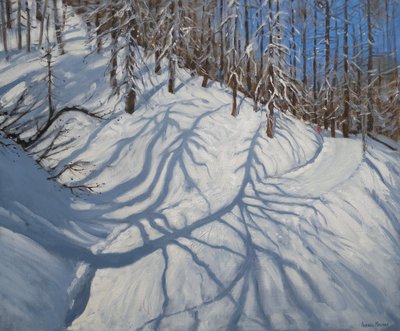 Ombre di abeti, Tignes, 2009 da Andrew Macara