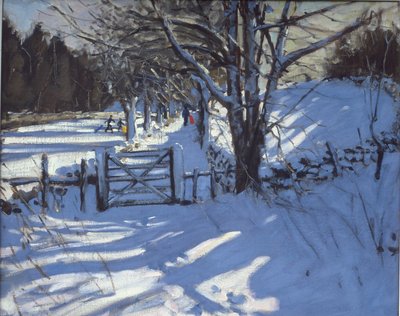 Cancello vicino a Youlgreave, Derbyshire da Andrew Macara