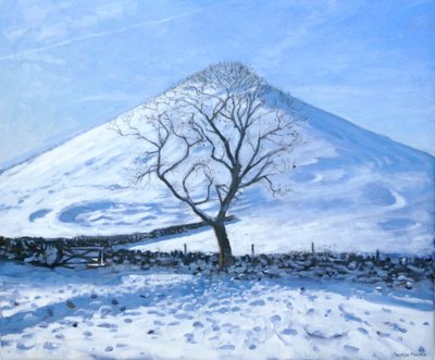 Collina e albero, Derbyshire, 2008 da Andrew Macara