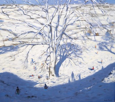 Collina, Elton vicino a Rowsley, 2008 da Andrew Macara