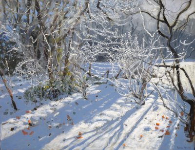 Brina, 2011 da Andrew Macara