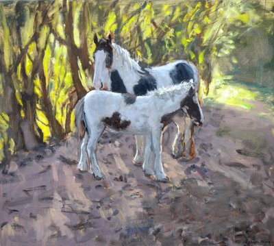 Cavalla e Puledro, 2011 da Andrew Macara