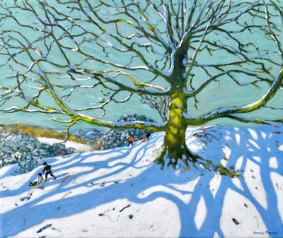 Albero Madre, Idridgehay, Belper, 2022 da Andrew Macara
