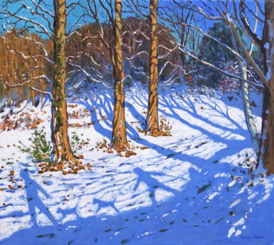 Neve di novembre, Allestree Park, Derby da Andrew Macara